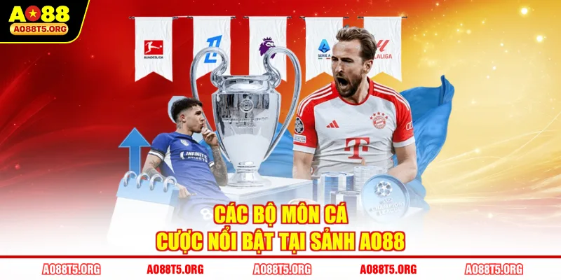 Các bộ môn cá cược nổi bật tại sảnh AO88