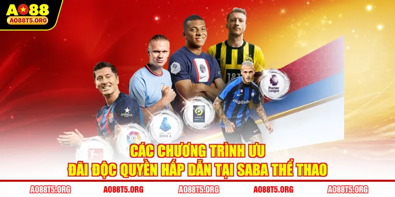 Các chương trình ưu đãi độc quyền hấp dẫn tại Saba Thể Thao
