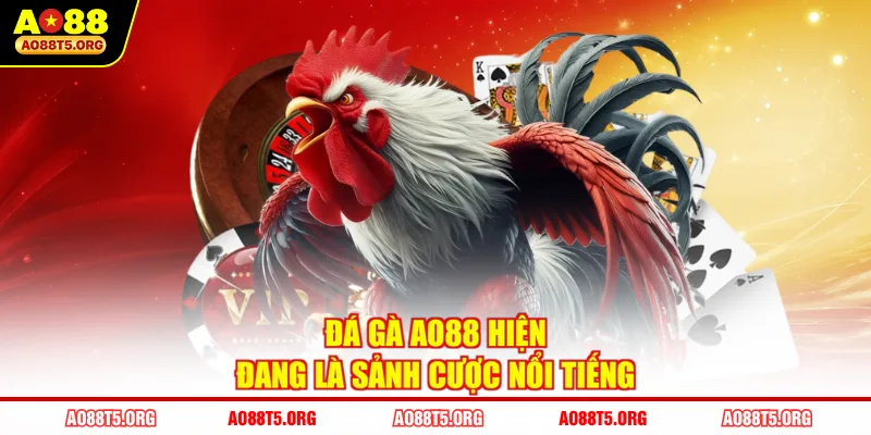 Đá gà AO88 hiện đang là sảnh cược nổi tiếng