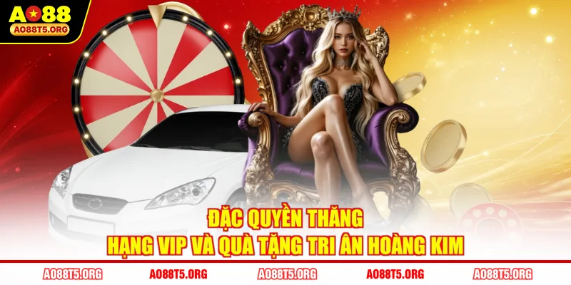 Đặc quyền thăng hạng VIP và quà tặng tri ân hoàng kim