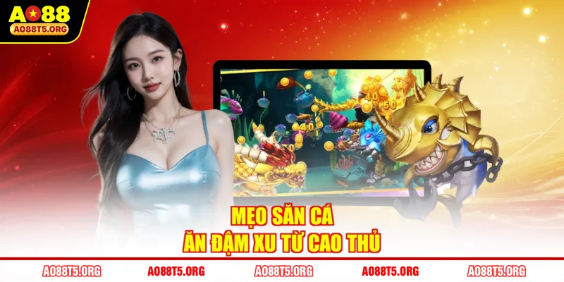 Mẹo săn cá ăn đậm xu từ cao thủ