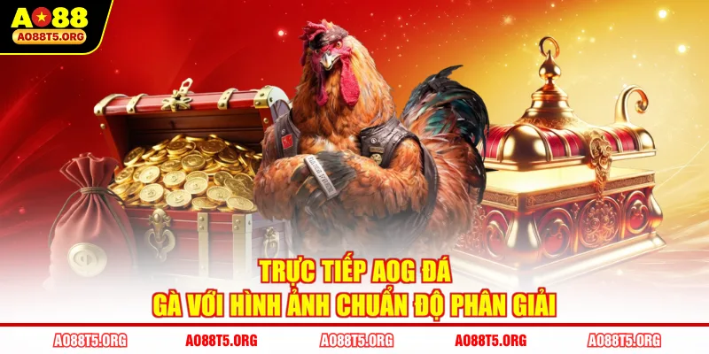 Trực tiếp AOG đá gà với hình ảnh chuẩn độ phân giải